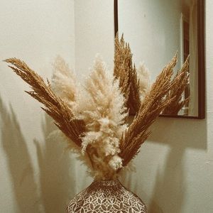 Meet your Posher, Margarita